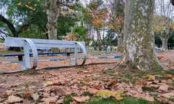 Uergs abre vagas para diplomados, transferências e reingressos