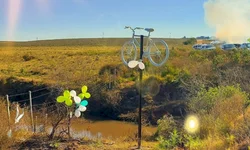 Adriana Lara deve concorrer a deputada federal