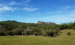 TSE reúne Observatório de Transparência das Eleições