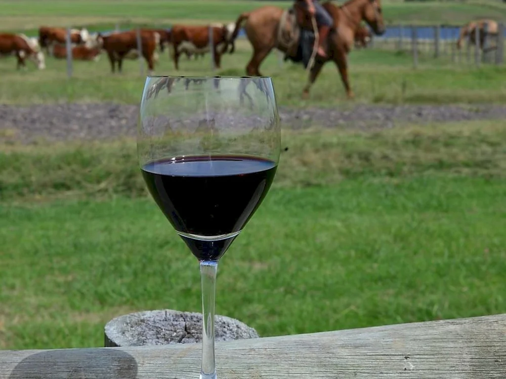 Vinícolas da região recebem visitantes de São Paulo