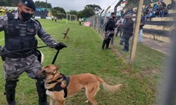 Operação Batida resulta em cinco presos