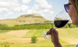 Sábados Azuis terá sorteio de bolsas de estudos