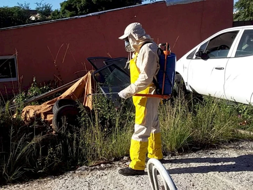 Bagé está livre da febre amarela