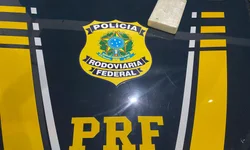 Homem não apresenta documentos e animais são apreendidos