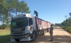 Brigada Militar apreende drogas e dinheiro