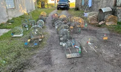 Homem é preso por porte ilegal de arma de fogo