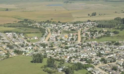 Investigação resulta em apreensão de quase 13 mil bovinos