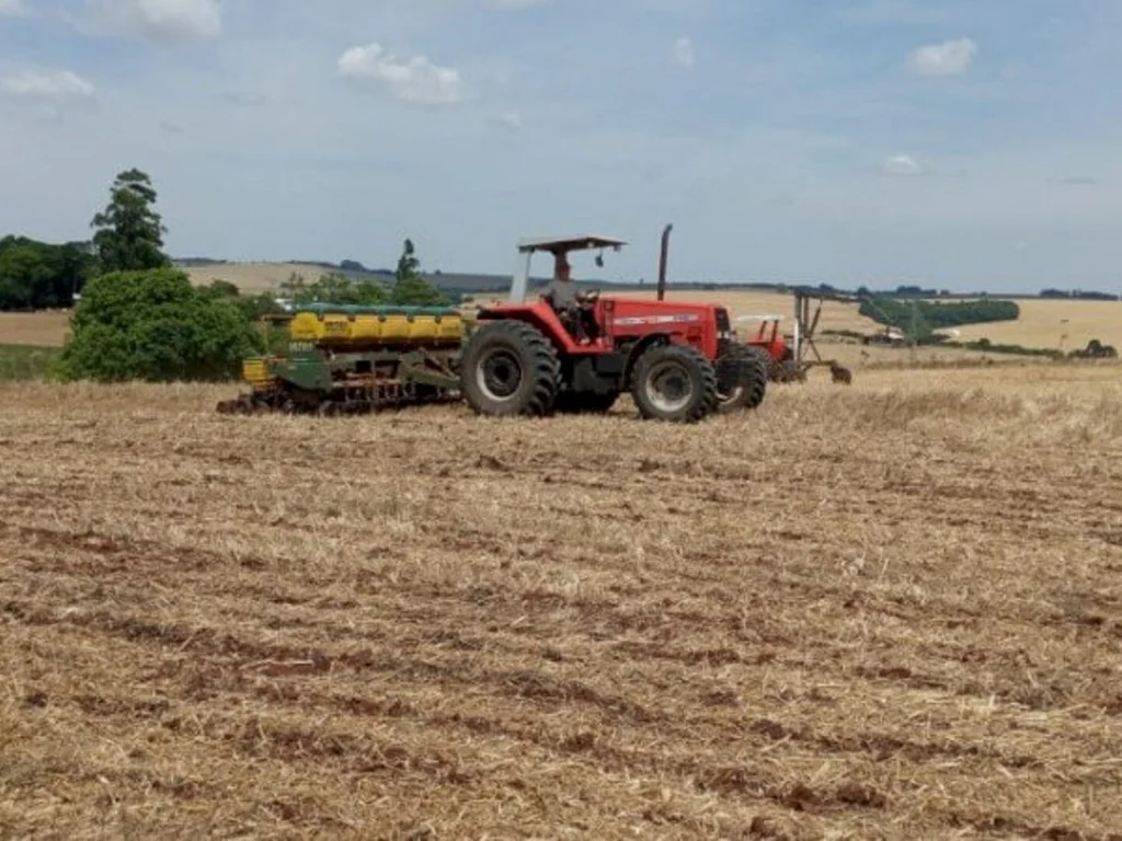 Levantamento destaca culturas da região da Campanha