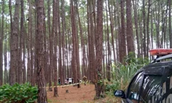 Preso suspeito da morte de advogado bageense