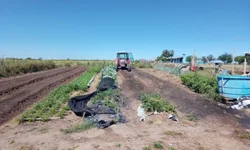 Palmas enfrenta constantes quedas de luz e impactos no cotidiano
