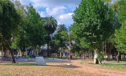 Egresso da Unipampa Dom Pedrito é eleito Zootecnista do Ano