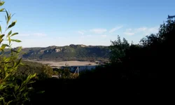 Acinser recomeça a combater o abigeato