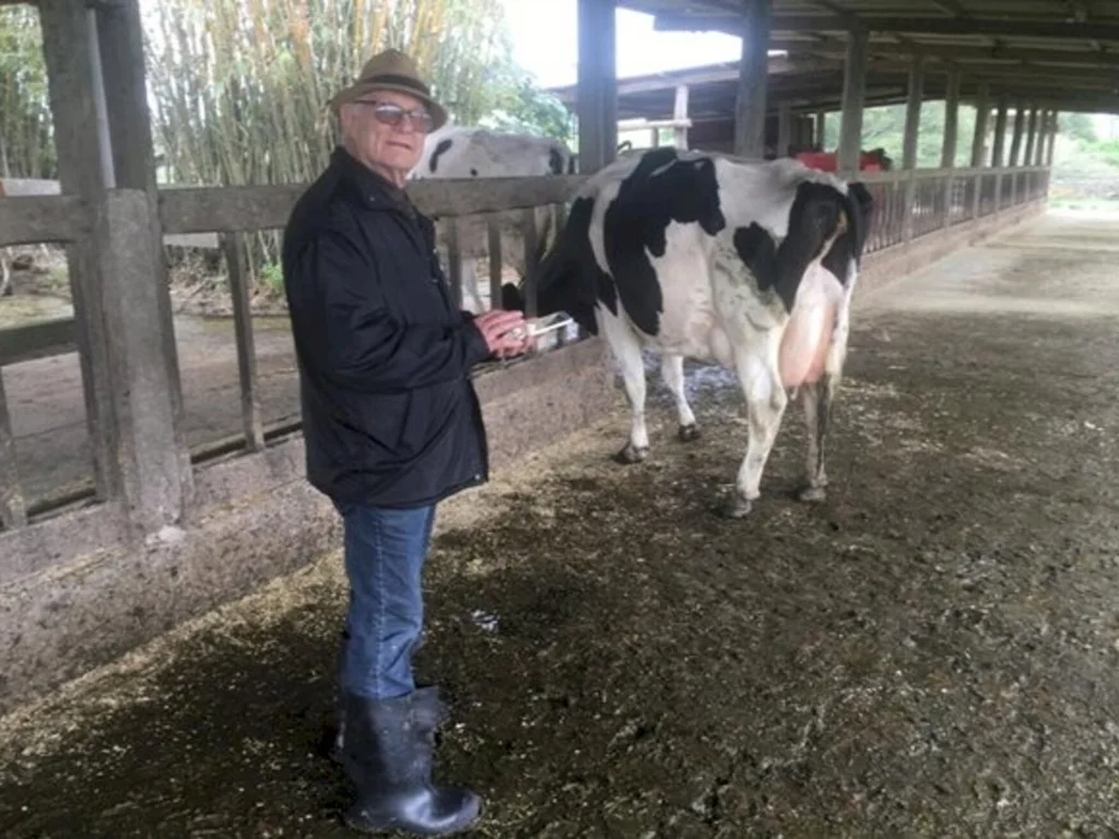 Técnicos da Gadolando realizam classificação linear