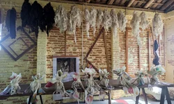 Exposição de lã com leilão beneficente começa hoje