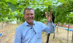 Página reúne histórico de partidos desde 1945