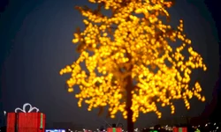 Analista de Bagé completa cinco anos em estado deplorável