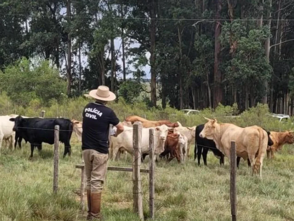 Homem não apresenta documentos e animais são apreendidos