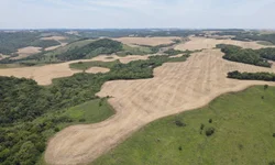 Diretora da TV Câmara assume Regional Sul da ASTRAL