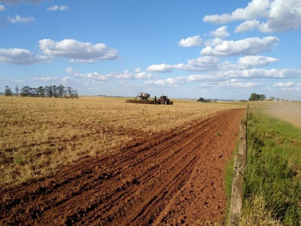 Produtores começam plantio de soja