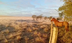 Bagé tem madrugada congelante e novo recorde de frio
