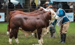 Exposições de primavera abrem calendário com eventos em Bagé, Lavras e Vacaria