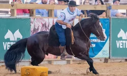 Bocal abre temporada de classificatórias do Freio de Ouro