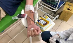 Proclamação da República altera principais serviços