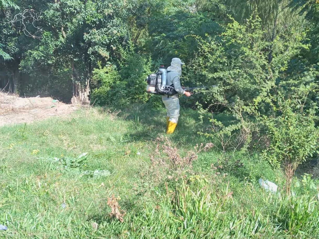 Bagé tem a segunda menor incidência de casos de dengue