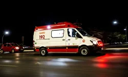 Havan começa seleção para contratar colaboradores