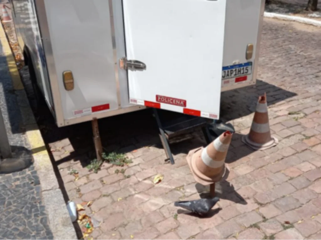 Pombas infestam lugares públicos e ameaçam saúde