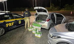 Polícia Penal recebe 42 agentes penitenciários e administrativos