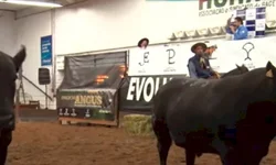 Média geral da feira contabiliza aumento superior a 6%