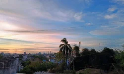 Casos gripais apresentam oscilações neste início de agosto