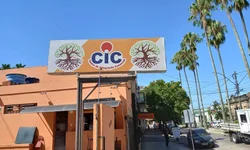 Aqueça um focinho tem Dia D de arrecadação