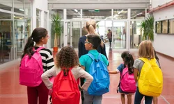 Homem não apresenta documentos e animais são apreendidos