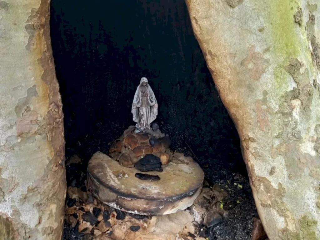 Vândalos ateiam fogo em santa na árvore