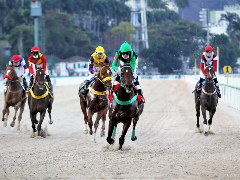 Cavalo da região é favorito para o Grande Prêmio Brasil de Turfe