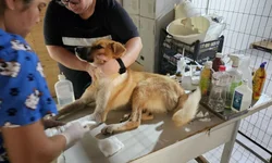 BM forma primeira turma de curso de inteligência policial