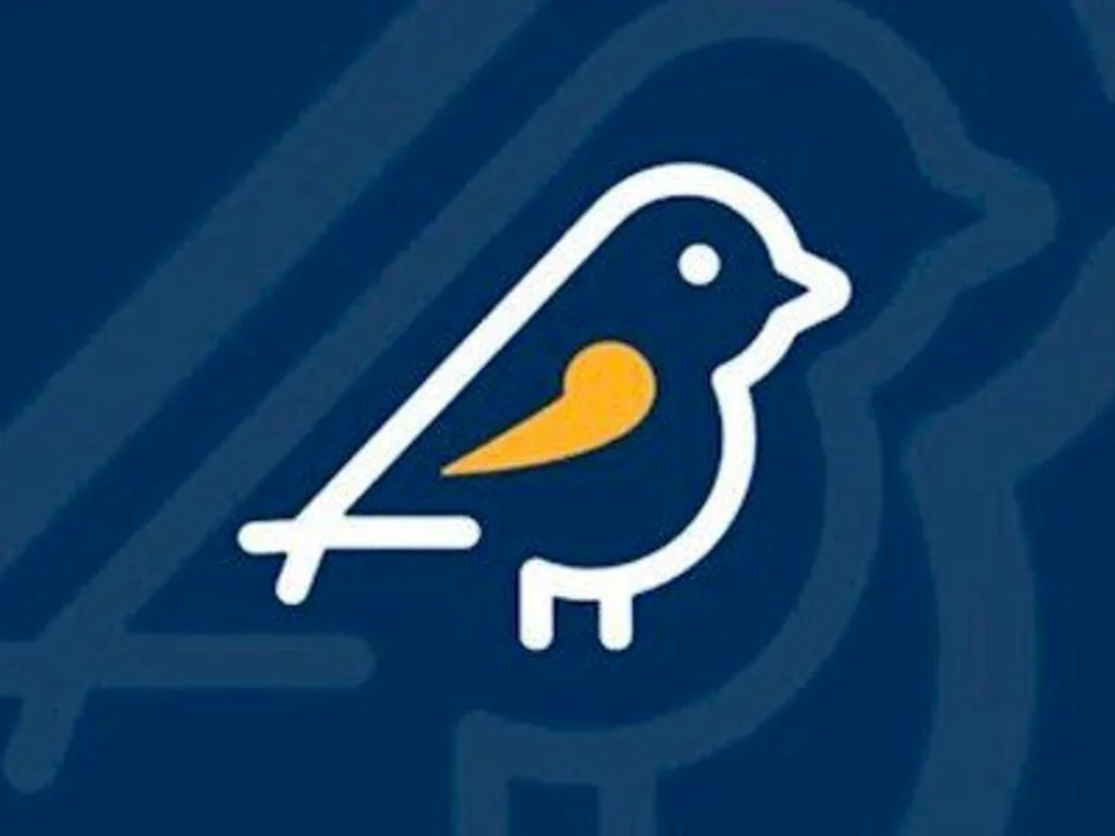 Aplicativo Pardal recebe denúncias de irregularidades