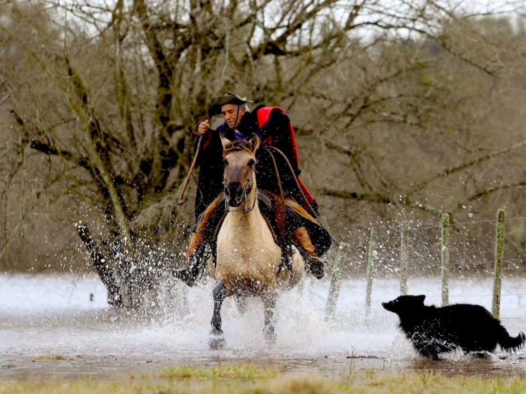 Bravos Valentes estreia no dia 30 e tem personagem do Pampa
