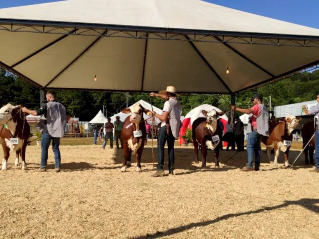 Inscrições para exposição encerram sexta-feira