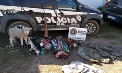 Homem morre após ser atropelado na RSC-473