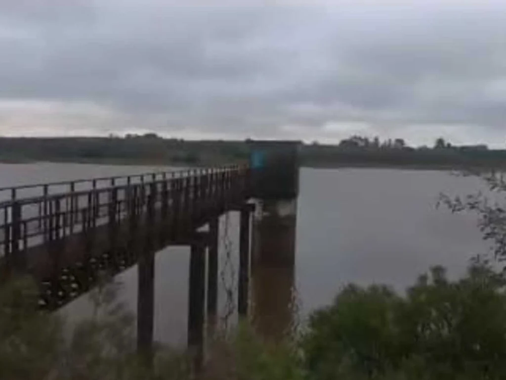 Sanga Rasa tem recuperação considerável