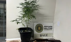 PRF prende irmãs com três quilos de cocaína e munições