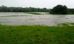 Semana da Criança será celebrada com circo