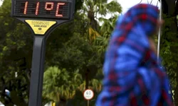 Educação domiciliar pode se tornar realidade