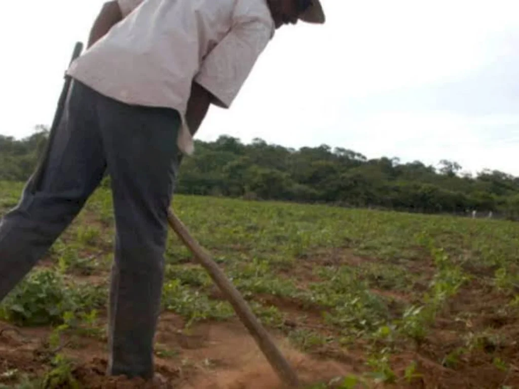 Agricultura alerta sobre nova onda de golpes
