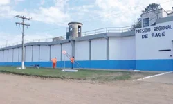 Azeite de oliva gaúcho recebe reconhecimento