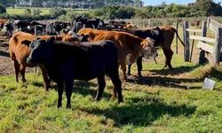 Motivadas por palestra, adolescentes denunciam abuso