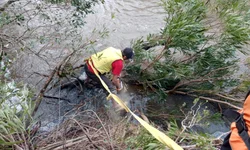 Policiais revelam a face da violência contra menores